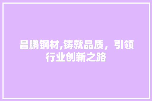 昌鹏钢材,铸就品质，引领行业创新之路