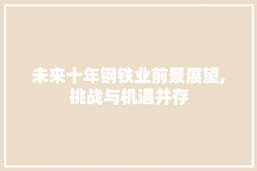未来十年钢铁业前景展望,挑战与机遇并存