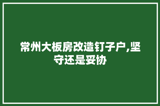 常州大板房改造钉子户,坚守还是妥协
