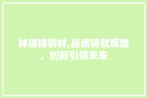 林瑞锋钢材,品质铸就辉煌，创新引领未来
