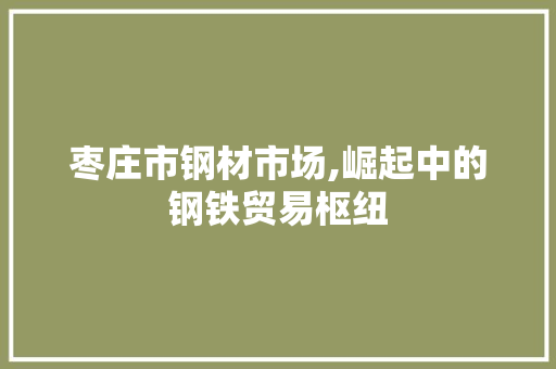 枣庄市钢材市场,崛起中的钢铁贸易枢纽