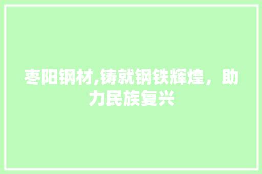 枣阳钢材,铸就钢铁辉煌，助力民族复兴