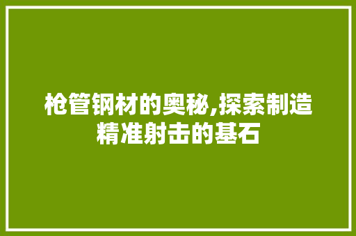 枪管钢材的奥秘,探索制造精准射击的基石
