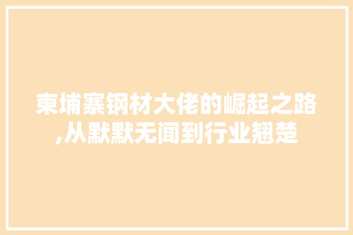 柬埔寨钢材大佬的崛起之路,从默默无闻到行业翘楚