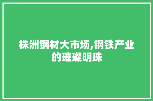 株洲钢材大市场,钢铁产业的璀璨明珠