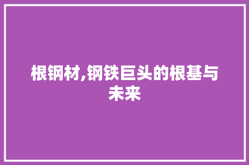 根钢材,钢铁巨头的根基与未来