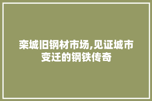 栾城旧钢材市场,见证城市变迁的钢铁传奇