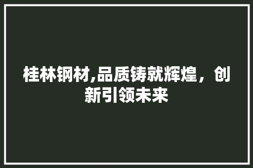 桂林钢材,品质铸就辉煌，创新引领未来