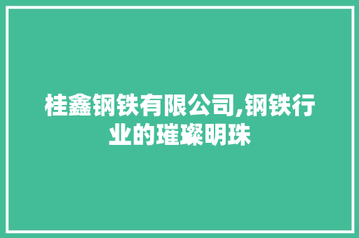 桂鑫钢铁有限公司,钢铁行业的璀璨明珠