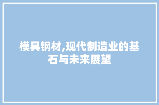 模具钢材,现代制造业的基石与未来展望