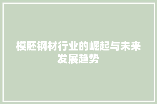 模胚钢材行业的崛起与未来发展趋势