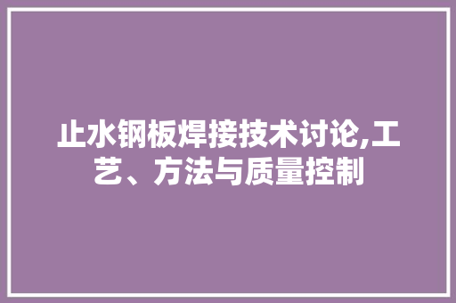 止水钢板焊接技术讨论,工艺、方法与质量控制