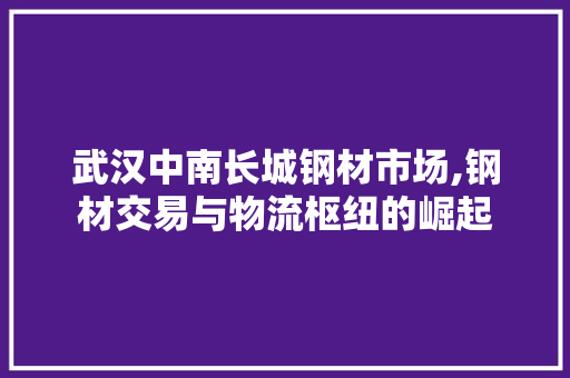 武汉中南长城钢材市场,钢材交易与物流枢纽的崛起