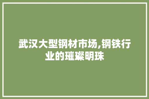 武汉大型钢材市场,钢铁行业的璀璨明珠