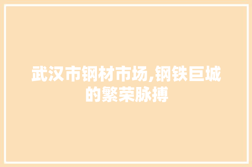 武汉市钢材市场,钢铁巨城的繁荣脉搏