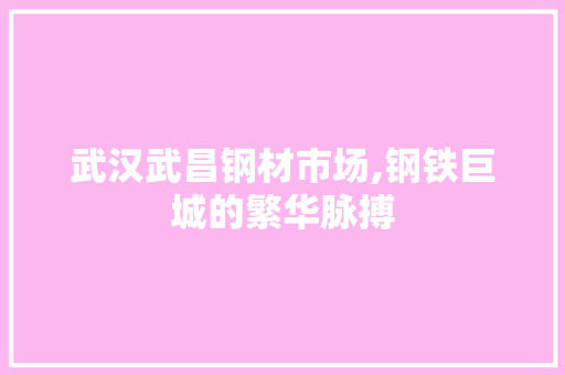 武汉武昌钢材市场,钢铁巨城的繁华脉搏