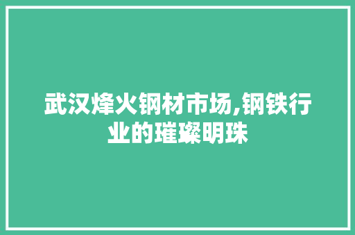 武汉烽火钢材市场,钢铁行业的璀璨明珠