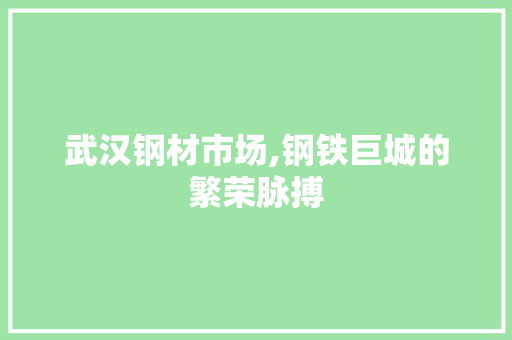 武汉钢材市场,钢铁巨城的繁荣脉搏