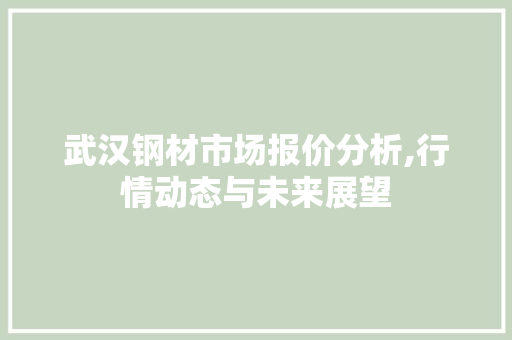 武汉钢材市场报价分析,行情动态与未来展望