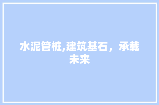 水泥管桩,建筑基石，承载未来
