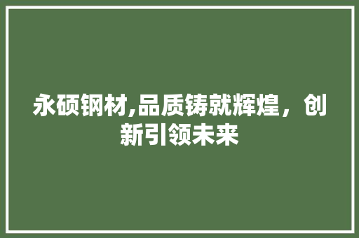 永硕钢材,品质铸就辉煌，创新引领未来