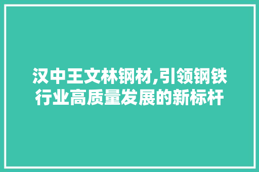 汉中王文林钢材,引领钢铁行业高质量发展的新标杆