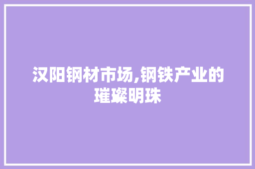 汉阳钢材市场,钢铁产业的璀璨明珠 装修攻略
