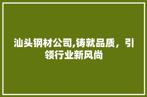汕头钢材公司,铸就品质，引领行业新风尚