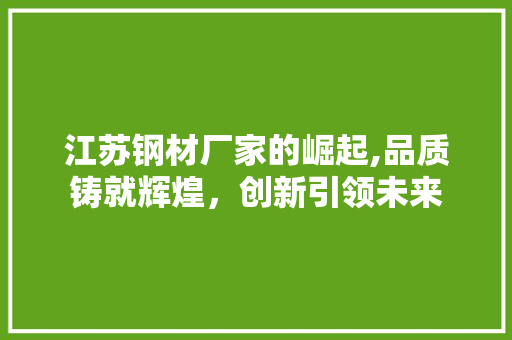 江苏钢材厂家的崛起,品质铸就辉煌，创新引领未来