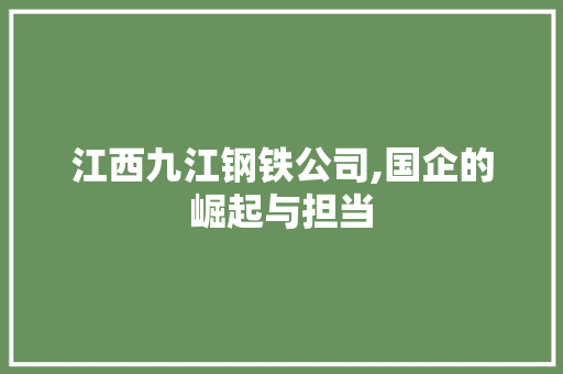 江西九江钢铁公司,国企的崛起与担当 门窗装修