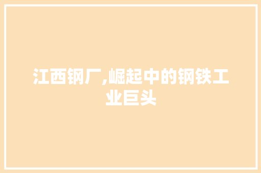 江西钢厂,崛起中的钢铁工业巨头
