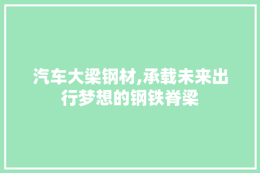 汽车大梁钢材,承载未来出行梦想的钢铁脊梁
