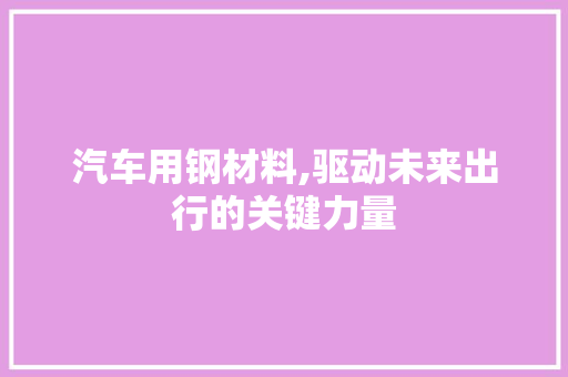 汽车用钢材料,驱动未来出行的关键力量
