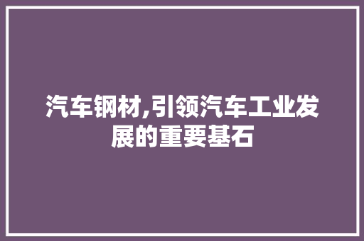 汽车钢材,引领汽车工业发展的重要基石