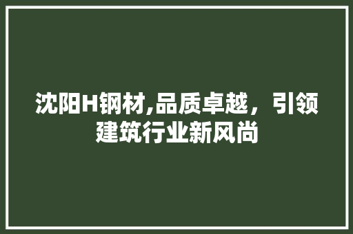 沈阳H钢材,品质卓越，引领建筑行业新风尚
