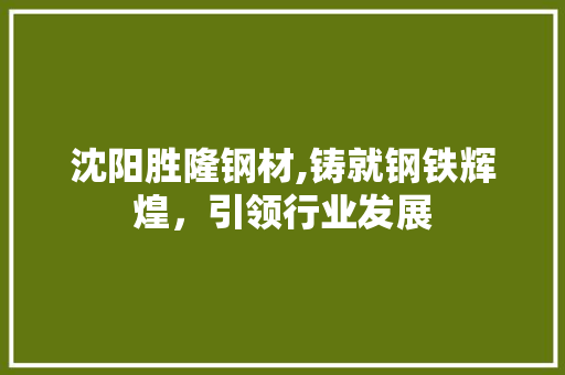 沈阳胜隆钢材,铸就钢铁辉煌，引领行业发展 地面装修