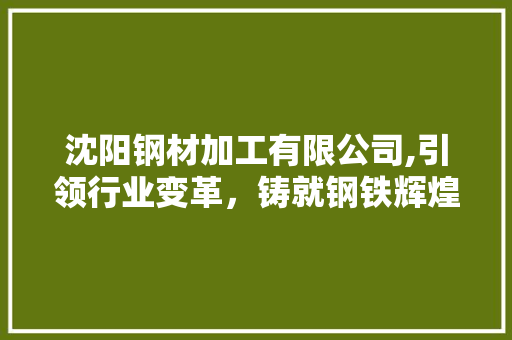 沈阳钢材加工有限公司,引领行业变革，铸就钢铁辉煌
