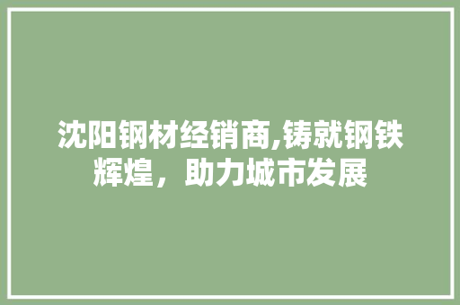 沈阳钢材经销商,铸就钢铁辉煌，助力城市发展