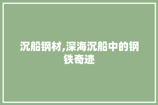 沉船钢材,深海沉船中的钢铁奇迹