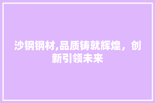 沙钢钢材,品质铸就辉煌，创新引领未来