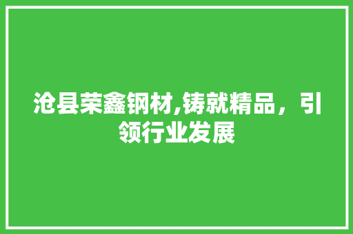 沧县荣鑫钢材,铸就精品，引领行业发展