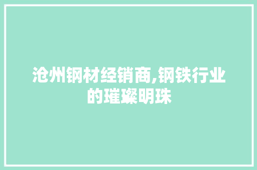 沧州钢材经销商,钢铁行业的璀璨明珠
