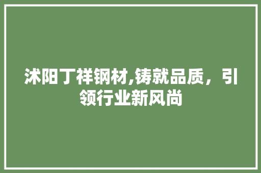 沭阳丁祥钢材,铸就品质，引领行业新风尚
