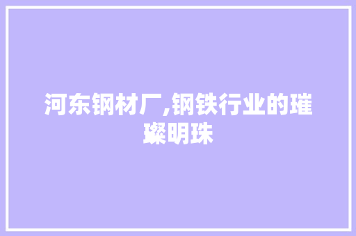 河东钢材厂,钢铁行业的璀璨明珠