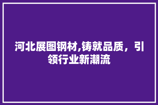 河北展图钢材,铸就品质，引领行业新潮流