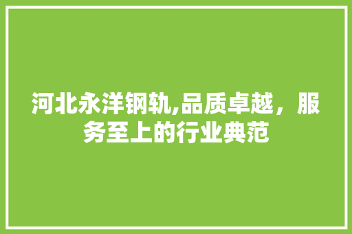 河北永洋钢轨,品质卓越，服务至上的行业典范