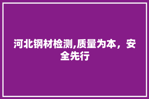 河北钢材检测,质量为本，安全先行