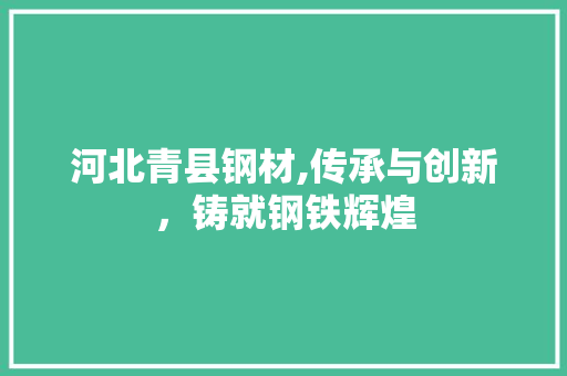 河北青县钢材,传承与创新，铸就钢铁辉煌