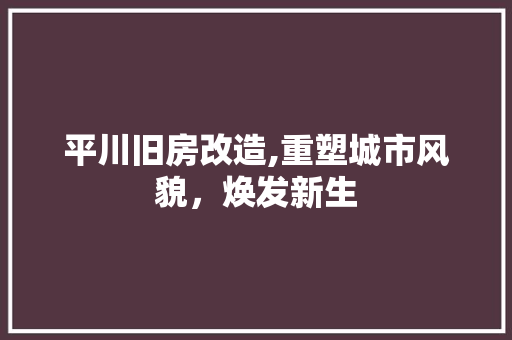 平川旧房改造,重塑城市风貌，焕发新生