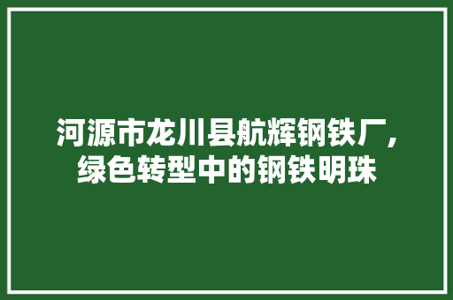 河源市龙川县航辉钢铁厂,绿色转型中的钢铁明珠